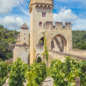 Camping dans les vignes à Cahors