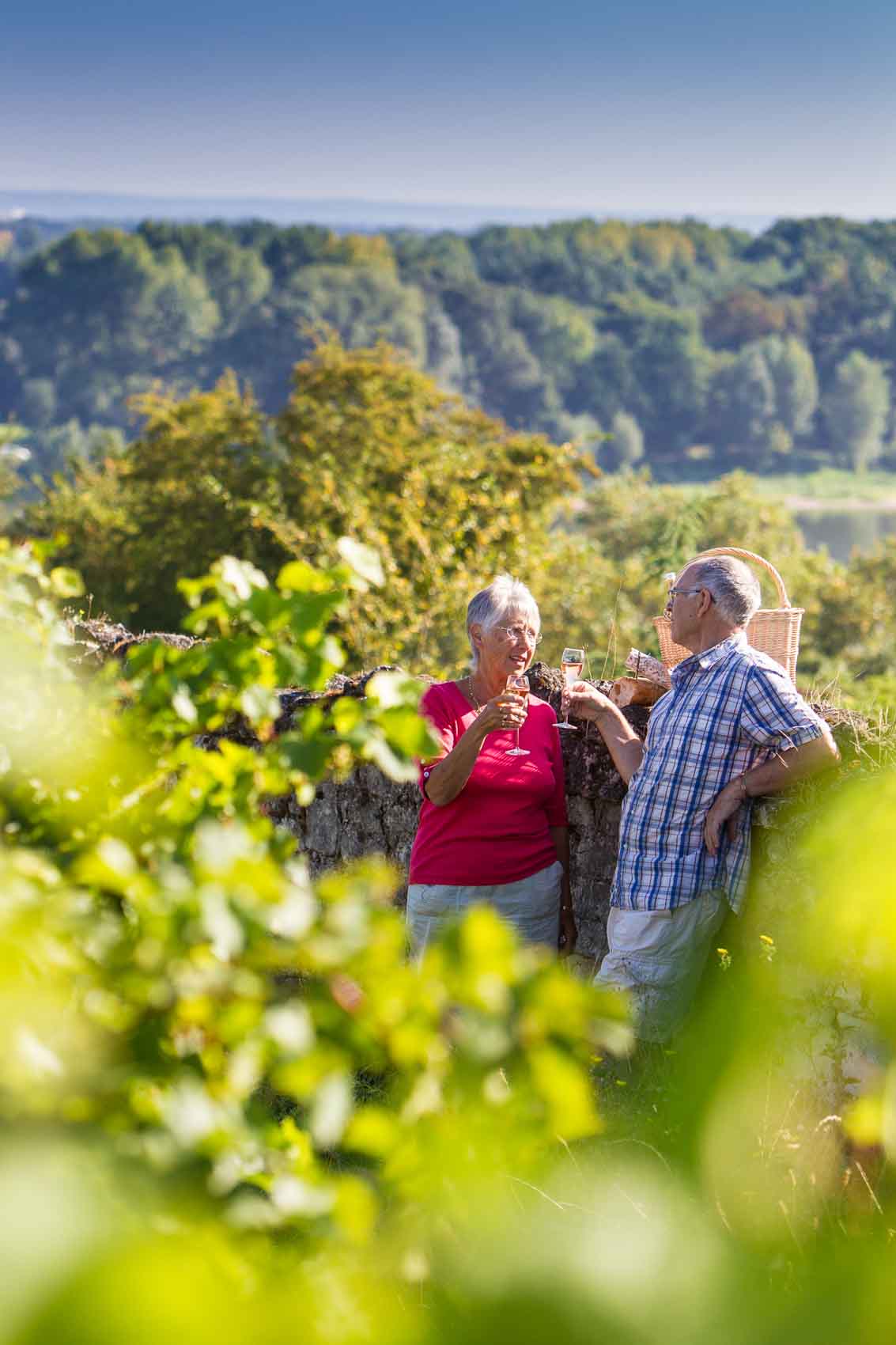 Camping dans les vignes