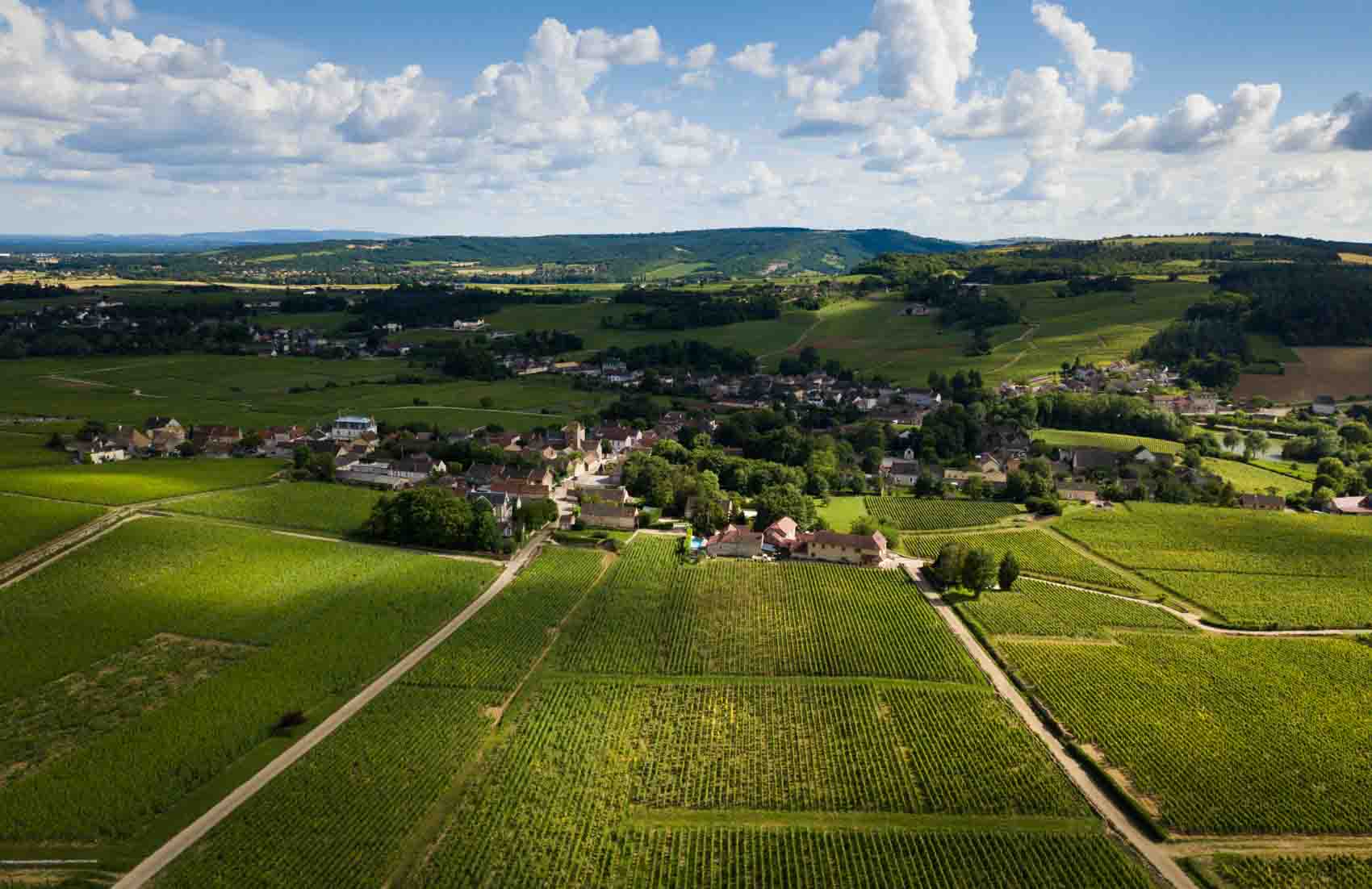 Camping dans les vignes