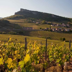 Camping dans les vignes en Bourgogne