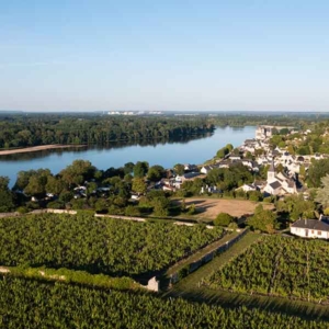 Dégustation de vin sur les campings