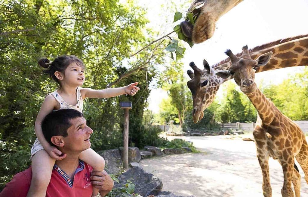 grappe fleurie 2023 045 1024x658