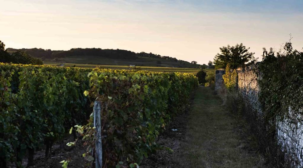 camping oenotourisme 2021 0002 1024x568