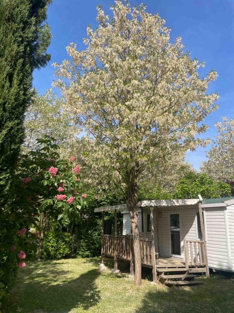 camping provence 2025 0006 768x1024