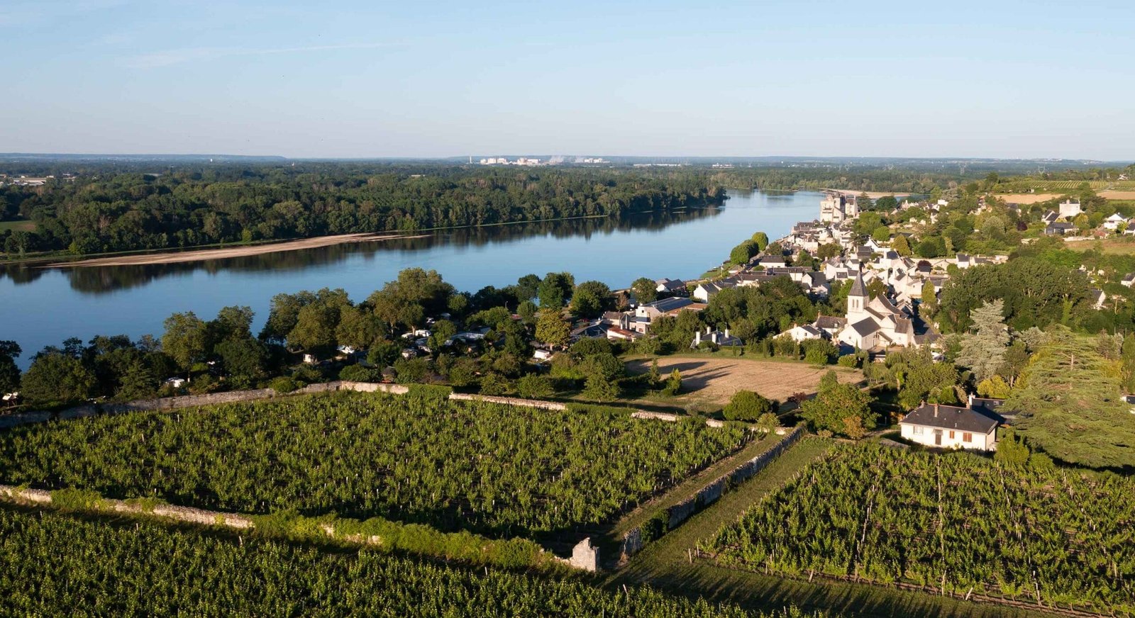 Camping parmi les vignes de Saumur