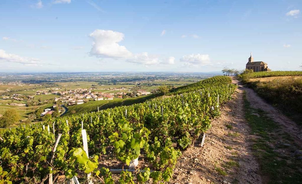 camping fleurie beaujolais3 1024x625 1